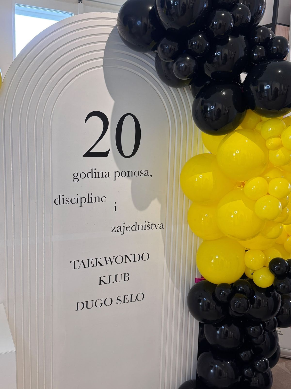 Panel „20 godina ponosa, discipline i zajedništva”